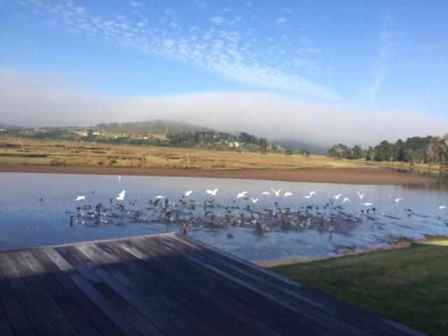Moonriver Self Catering Plettenberg Bay Kültér fotó